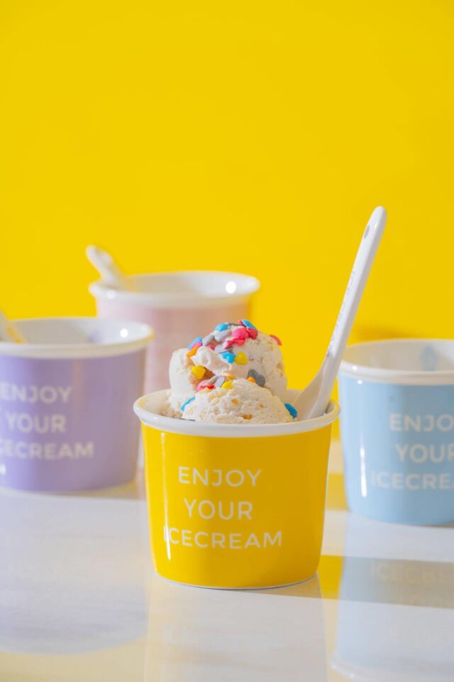 Blush 4'lü Dondurma Kase Seti - 200 ml