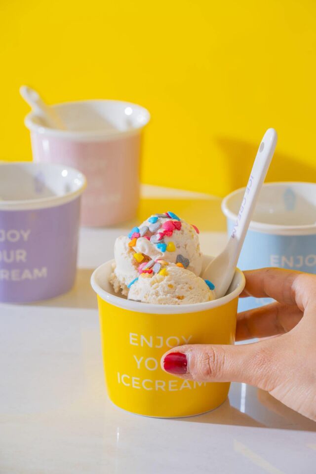 Blush 4'lü Dondurma Kase Seti - 200 ml