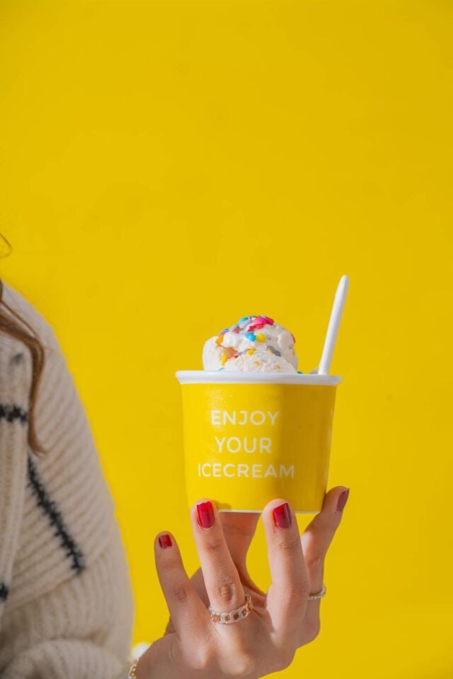 Blush 4'lü Dondurma Kase Seti - 200 ml